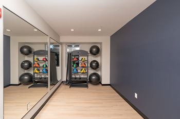 Weights & training area
